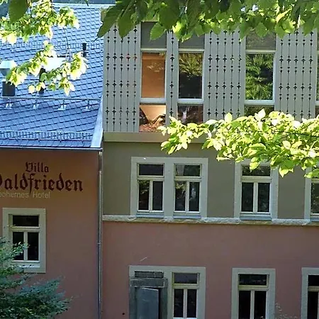Hotel Bio-hotel Waldfrieden 4*